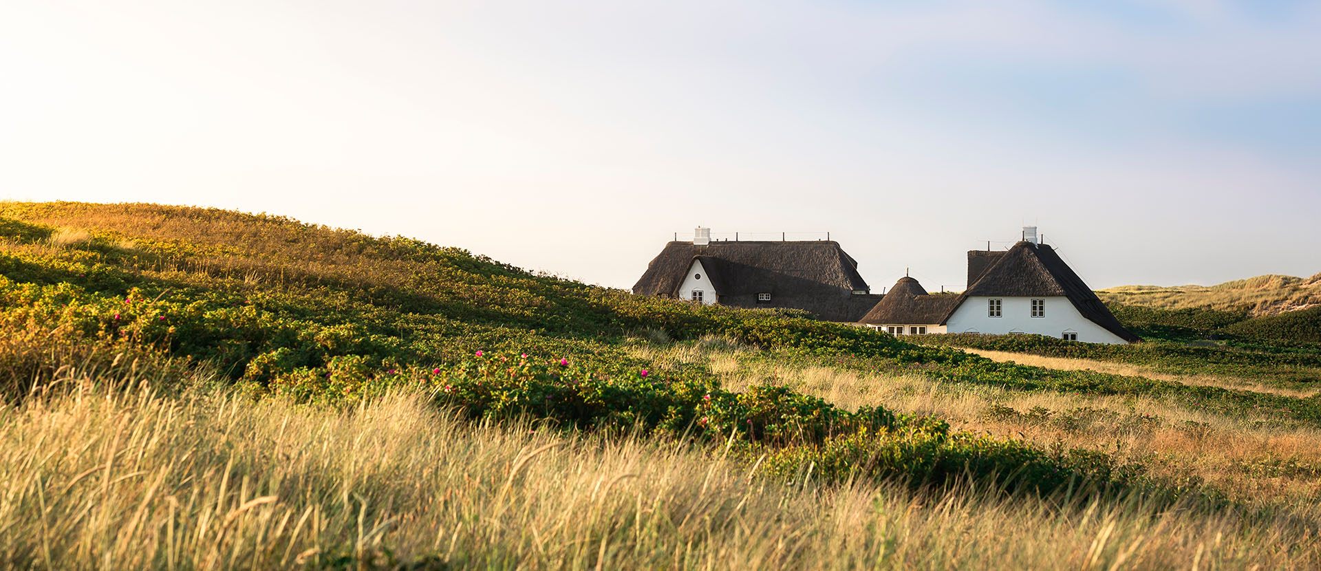 Sylter Dünen mit Reetdachhäusern im Fokus